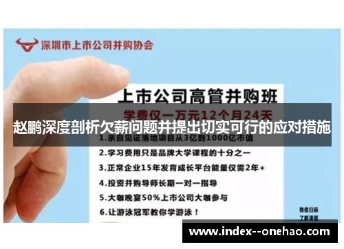 赵鹏深度剖析欠薪问题并提出切实可行的应对措施