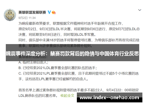 魏震事件深度分析：禁赛罚款背后的隐情与中国体育行业反思