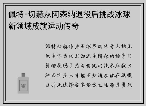佩特·切赫从阿森纳退役后挑战冰球新领域成就运动传奇