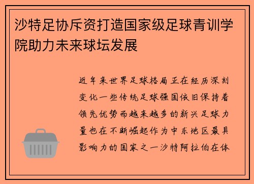 沙特足协斥资打造国家级足球青训学院助力未来球坛发展